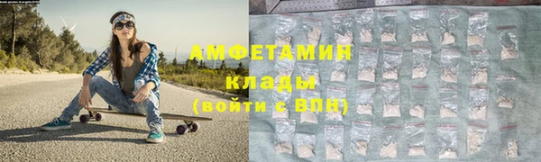 шишки Лабытнанги